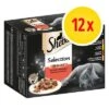 Sheba 12 X 85 G En Sobres Multireceta 1 Sheba 12 X 85 G En Sobres Multireceta -Mascota Suministros Ventas 73026 pla sheba selection herzhafte komposition 85g 3 1 2