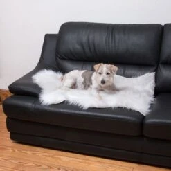 Smartpet Alfombra Para Perros Y Gatos 19 Smartpet Alfombra Para Perros Y Gatos -Mascota Suministros Ventas 73343 kunstfell wei tier fg 9887 1