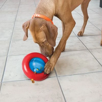 KONG Gyro Juguete Rellenable Para Perros 4 KONG Gyro Juguete Rellenable Para Perros - Imagen 2