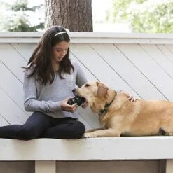 KONG Extreme Juguete Negro Para Perros -Mascota Suministros Ventas 74319 kongextremeschwarz hs 03 2