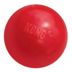 KONG Classic Pelota Rellenable Para Perros
