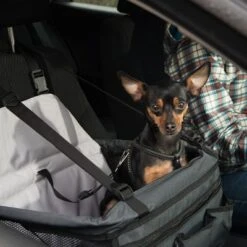 Asiento Para El Coche Booster -Mascota Suministros Ventas 78030 autositz booster fg 6388 6