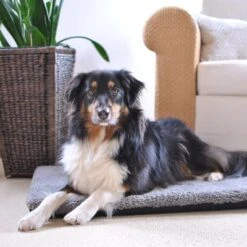 Colchón Ortopédico Pawz & Pepper Aurora -Mascota Suministros Ventas 78424 petlando pawzpepper hundekissen denver hs 08 6