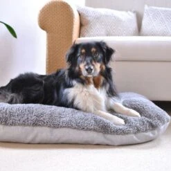 Cojín Ortopédico Pawz & Pepper Denver 25 Cojín Ortopédico Pawz & Pepper Denver -Mascota Suministros Ventas 78610 petlando pawzpepper hundekissen auroraortho hs 010 3