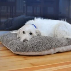 Cojín Ortopédico Pawz & Pepper Denver 17 Cojín Ortopédico Pawz & Pepper Denver -Mascota Suministros Ventas 78610 petlando pawzpepper hundekissen auroraortho hs 09 5