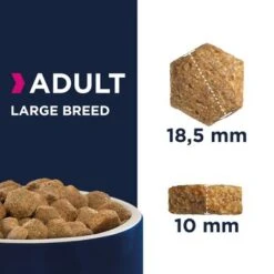 Eukanuba Adult Razas Grandes Con Pollo 7 Eukanuba Adult Razas Grandes Con Pollo -Mascota Suministros Ventas 80538 eukanuba adult large breed kibbles 7
