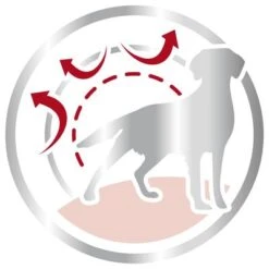 Royal Canin Medium Adult -Mascota Suministros Ventas 80731 royalcanin mediumadult 15kg picto hs 03 6