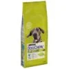 Purina Dog Chow Adult Large Breed Con Pavo -Mascota Suministros Ventas 82005 pla dog chow largebreed turkey 14kg 1