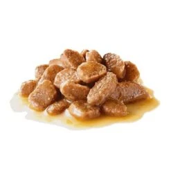 Royal Canin Mini Ageing 12 + En Salsa Para Perros -Mascota Suministros Ventas 83014 pla royalcanin mini ageing 9