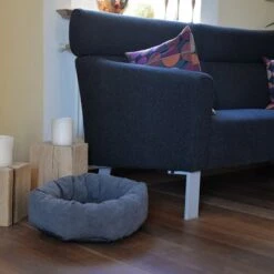 Mascota Suministros Ventas -Mascota Suministros Ventas 83764 donut zppp 841050 emotion 1 6