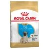 Royal Canin Carlino Puppy / Junior 2 Royal Canin Carlino Puppy / Junior -Mascota Suministros Ventas 84442 pla royalcanin puppyhund pug 6