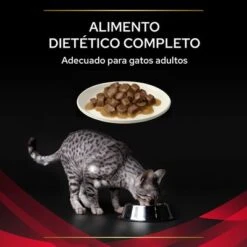 Purina Pro Plan Feline DM ST/OX Diabetes Management Veterinary Diets Con Pollo 10 Purina Pro Plan Feline DM ST/OX Diabetes Management Veterinary Diets Con Pollo -Mascota Suministros Ventas 8445290046048 4 textura 7