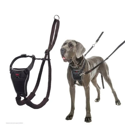 Halti Arnés Antitirada Non-Pull Harness Para Perros 8 Halti Arnés Antitirada Non-Pull Harness Para Perros - Imagen 6