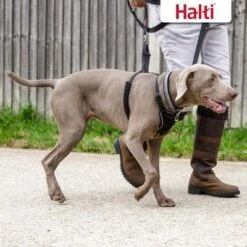 Halti Arnés Antitirada Non-Pull Harness Para Perros 14 Halti Arnés Antitirada Non-Pull Harness Para Perros -Mascota Suministros Ventas 92496 92497 halti front control trainingsgeschirr hs 06 7