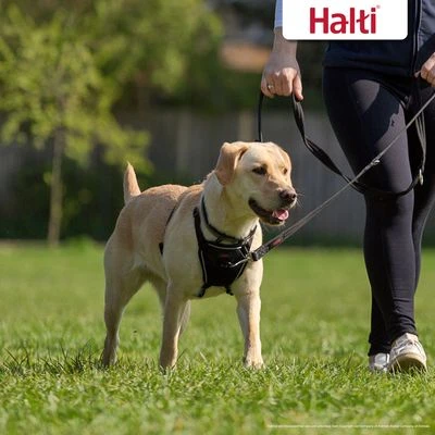 Halti Arnés Antitirada Non-Pull Harness Para Perros 4 Halti Arnés Antitirada Non-Pull Harness Para Perros - Imagen 2