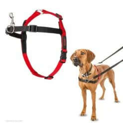 Arnés Antitirones Front Control HALTI Para Perros 15 Arnés Antitirones Front Control HALTI Para Perros -Mascota Suministros Ventas 94509 94510 94610 halti front control trainingsgeschirr hs 08 9
