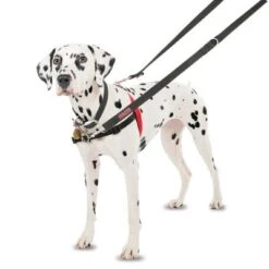 Arnés Antitirones Front Control HALTI Para Perros 17 Arnés Antitirones Front Control HALTI Para Perros -Mascota Suministros Ventas 94510 coa halti front controll harness hs 01 3