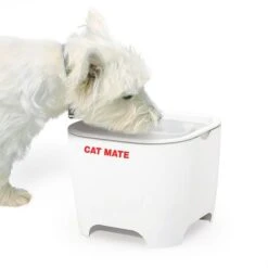 Bebedero Fuente Cat Mate Concha De Pet Mate -Mascota Suministros Ventas 95720 cat mate shell pet fountain hs 01 7
