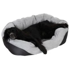 Cama Ortopédica Lazy Para Perros -Mascota Suministros Ventas 98296 aussiemix fg 4789 5