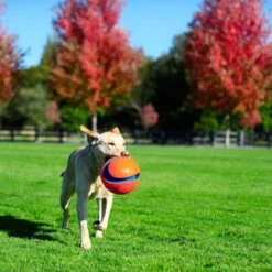 Pelota Chuckit! Kick Fetch Para Perros -Mascota Suministros Ventas 99703 petmate chuckit kick fetch large hs 06 3