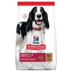Hill's Science Plan Tamaño Ahorro 18 Kg -Mascota Suministros Ventas atf1 604276 enhanced pack front 8 1