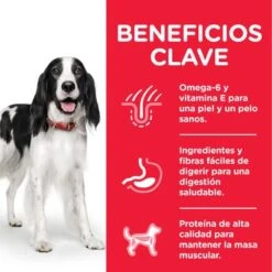 Hill's Science Plan Hill's Adult 1-6 Medium Science Plan Con Pollo -Mascota Suministros Ventas atf8 604354 key benefits 4