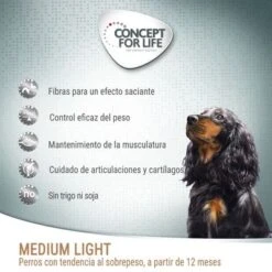 Concept For Life Medium Light -Mascota Suministros Ventas cfl board dog mediumlight 7