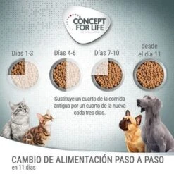 Concept For Life Golden Retriever Adult -Mascota Suministros Ventas cfl board feeding 1000x1000 1 4