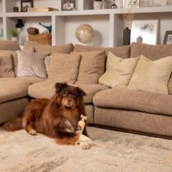 Pet Head Sensitive Soul Champú Para Perros -Mascota Suministros Ventas companyofanimals pethead sensitivesoul set3teilig hs 08 9 1