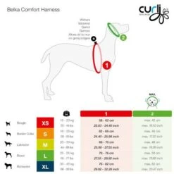Arnés Curli Belka Comfort Negro Para Perros 25 Arnés Curli Belka Comfort Negro Para Perros -Mascota Suministros Ventas curli belka comfort geschirr sizes 0