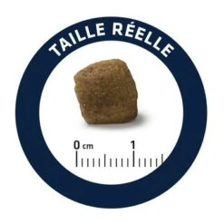 Advance Articular Care Senior Veterinary Diets Para Perros -Mascota Suministros Ventas dog advance vet diets articular care 1