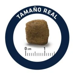 Advance Articular Care Veterinary Diets Pienso Para Perros -Mascota Suministros Ventas dog advance vet diets medium maxi articular plus 7