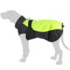 Chubasquero Para Perros Illume Nite Neon 1 Chubasquero Para Perros Illume Nite Neon -Mascota Suministros Ventas dsc1480 1