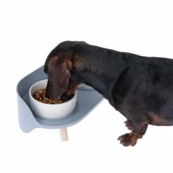 TIAKI Comedero Doble De Cerámica Para Mascotas -Mascota Suministros Ventas dsc6184 0