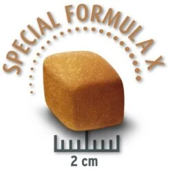 Concept For Life Golden Retriever Adult -Mascota Suministros Ventas golden retriever krokette 9