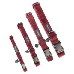 Collar Nomad Tales Blush Vino Para Perros -Mascota Suministros Ventas nomad tales blush halsbaender fg 1317 0