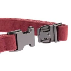 Collar Nomad Tales Blush Vino Para Perros -Mascota Suministros Ventas nomad tales blush halsbaender fg 1323 7