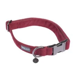Collar Nomad Tales Blush Vino Para Perros
