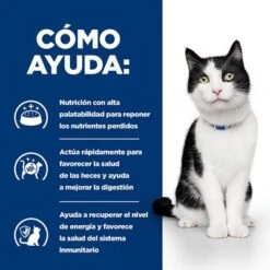 Hill's I/d Prescription Diet Sobres Comida Húmeda Para Gatos 21 Hill's I/d Prescription Diet Sobres Comida Húmeda Para Gatos -Mascota Suministros Ventas pd id activbiome cat bk30994m bk30913 bk31379 bk30787 bk31600m bk31599m how helps es 7