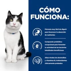 Hill's I/d Prescription Diet Sobres Comida Húmeda Para Gatos 20 Hill's I/d Prescription Diet Sobres Comida Húmeda Para Gatos -Mascota Suministros Ventas pd id activbiome cat bk30994m bk30913 bk31379 bk30787 bk31600m bk31599m how works es 5