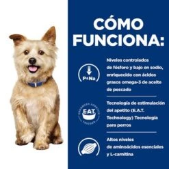 Hill's K/d Prescription Diet Kidney Care Pienso Para Perros 16 Hill's K/d Prescription Diet Kidney Care Pienso Para Perros -Mascota Suministros Ventas pd kd dog bk25555m bk33084 bk32396 bk33282 how works es 0