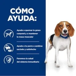 Hill's R/d Prescription Diet Weight Loss Comida Húmeda Para Perros -Mascota Suministros Ventas pd rd dog bk24536m bk27973 how helps es 9