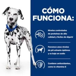Hill's U/d Prescription Diet Urinary Care Pienso Para Perros -Mascota Suministros Ventas pd ud dog bk24705m bk31642 how works es 3