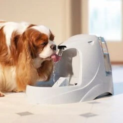 Fuente De Agua Para Mascotas Drinkwell Platinum De PetSafe 14 Fuente De Agua Para Mascotas Drinkwell Platinum De PetSafe -Mascota Suministros Ventas pla radiosystems drinkwellplatinumtrinkbrunnen 5liter dog 1