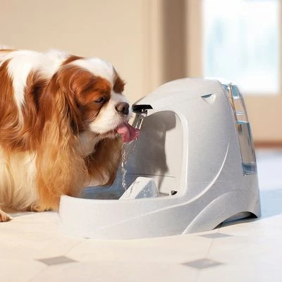 Fuente De Agua Para Mascotas Drinkwell Platinum De PetSafe 8 Fuente De Agua Para Mascotas Drinkwell Platinum De PetSafe - Imagen 6