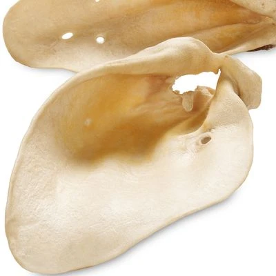 Orejas De Vacuno Premium De Baviera O Austria Para Perros 4 Orejas De Vacuno Premium De Baviera O Austria Para Perros - Imagen 2