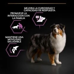 PURINA PRO PLAN Medium & Large Adult 7+ Age Defence -Mascota Suministros Ventas pu benefit tile m2 age defence 2 2500x2500px 221229 1 0