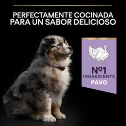 PURINA PRO PLAN All Sizes Puppy Sensitive Digestion Sin Cereales Con Pavo 16 PURINA PRO PLAN All Sizes Puppy Sensitive Digestion Sin Cereales Con Pavo -Mascota Suministros Ventas pu proplan dog sdgrainfree allsize flavour 0
