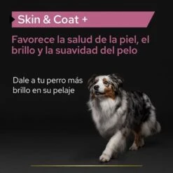 PRO PLAN Dog Adult Skin And Coat Supplement Aceite 16 PRO PLAN Dog Adult Skin And Coat Supplement Aceite -Mascota Suministros Ventas pu supplementals atf skin coat dog a 220513 es es 2