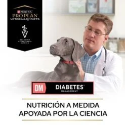 Purina Pro Plan DM Diabetes Veterinary Diets -Mascota Suministros Ventas puppvdddppvdm22endoles 220629 1 1656654162025 5